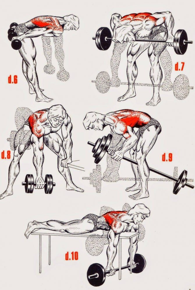 Тренировка спины на ширину и массу — программа упражнений