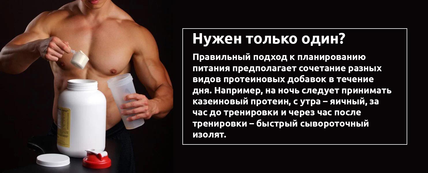 Чем заменить протеин после тренировки, продукты богатые белком | irksportmol.ru