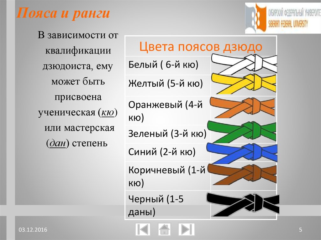 Как получить черный пояс по карате: экзамен, норматив, кю и дан | wikifight.ru
