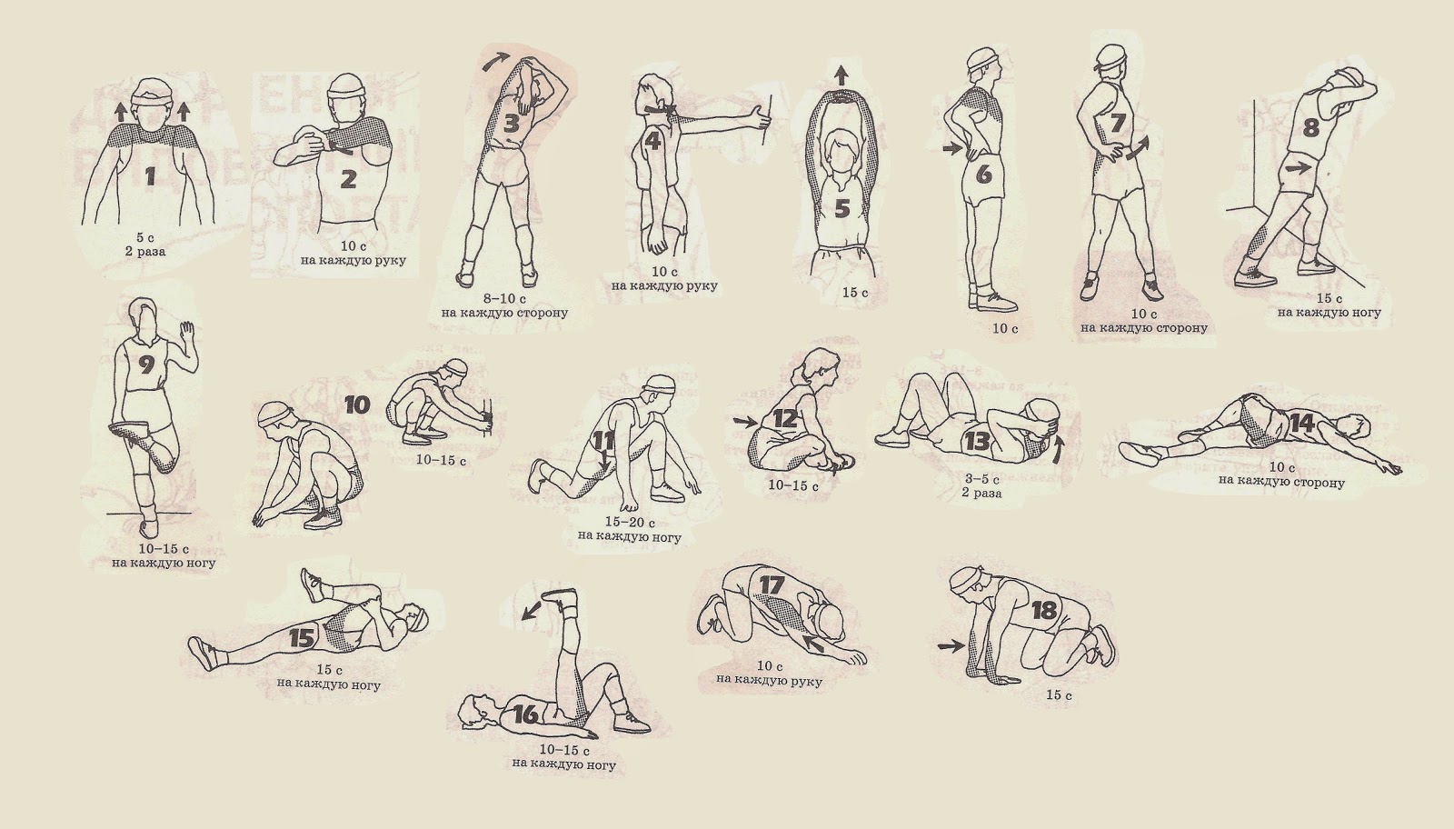 Растяжка перед тренировкой: 10 упражнений для дома и тренажерного зала