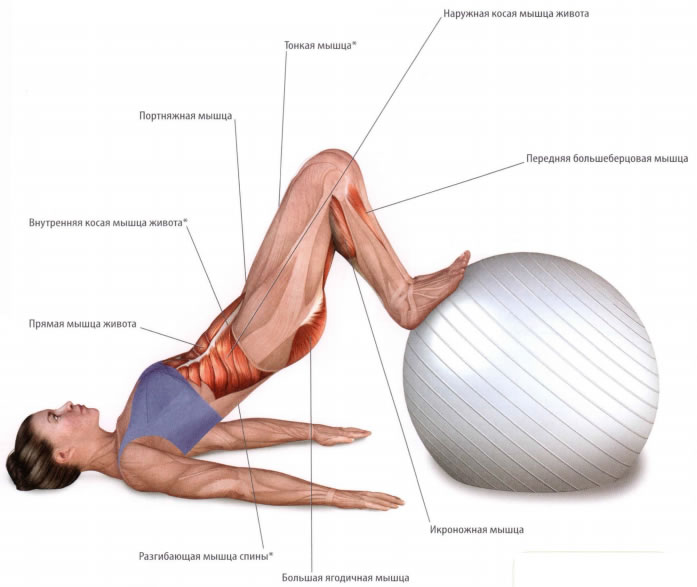 Стретчинг: упражнения для ягодичных мышц, которые избавят от целлюлита и жировых отложений
