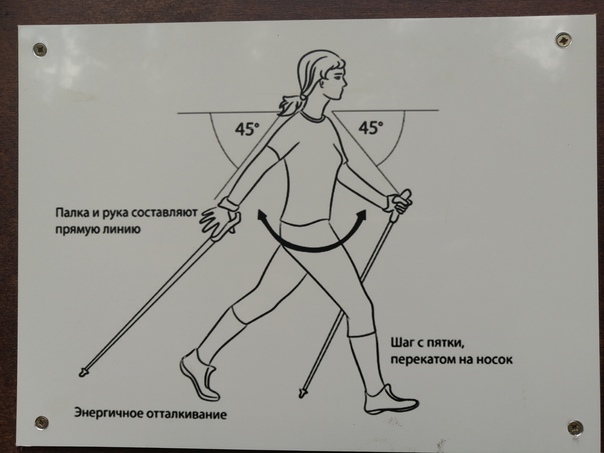 Скандинавская ходьба с палками, техника ходьбы для начинающих