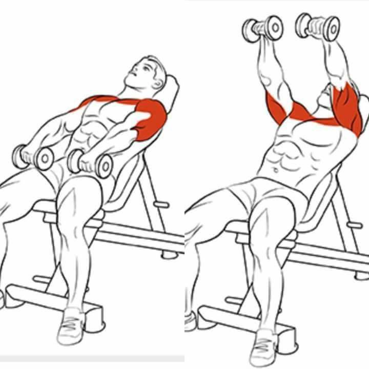 Упражнения для спины в домашних условиях: как накачать мышцы спины мужчине
