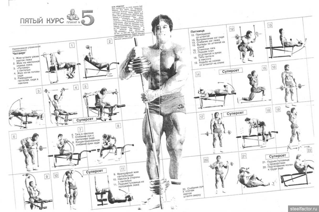 Комплекс упражнений на все группы мышц: рекомендации специалистов