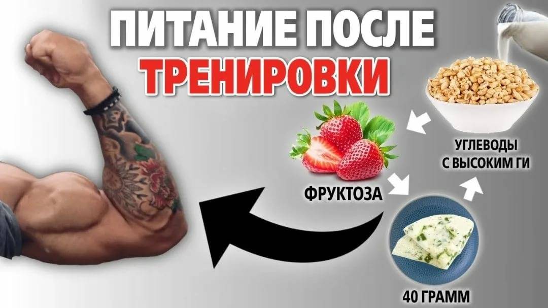 Питание для набора мышечной массы для девушек | proka4aem.ru