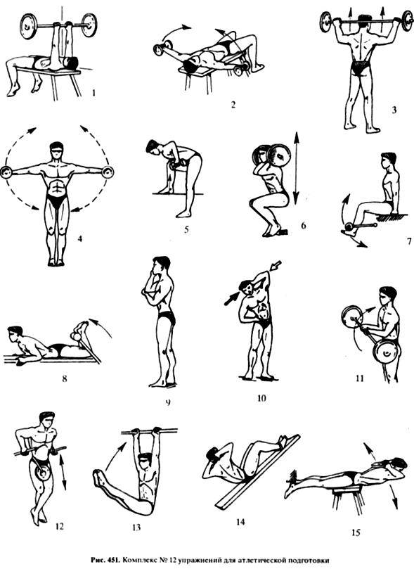30 упражнений с гантелями для тех, кто хочет прокачать всё тело — лайфхакер