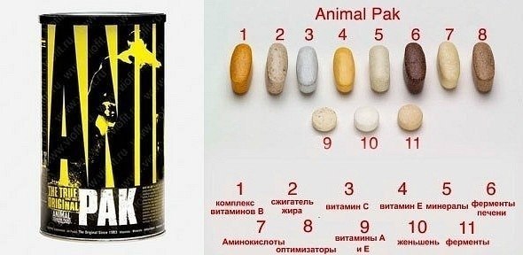 Animal pak от universal: описание, состав, как принимать