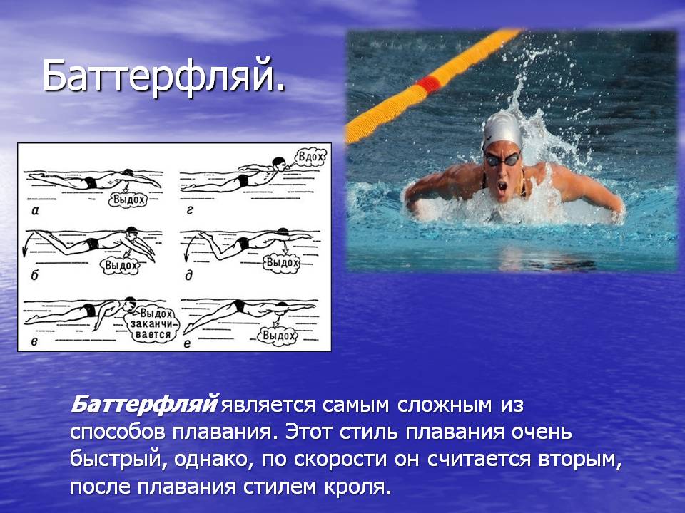 Обзор популярных стилей плавания в бассейне, их отличия и особенности