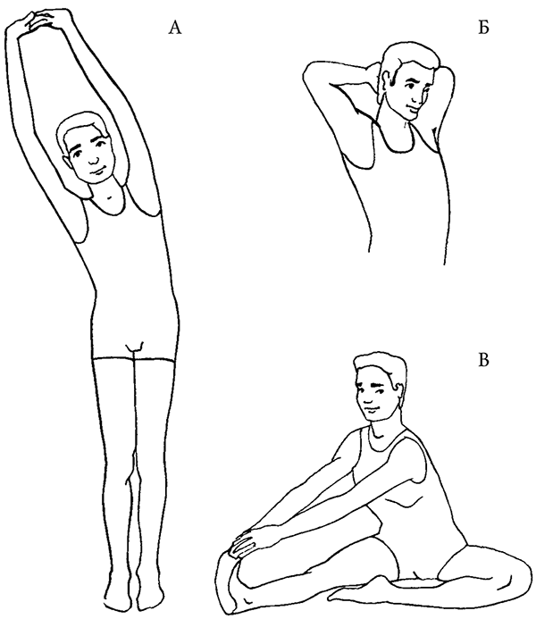 Упражнения для спины, плеч и рук
