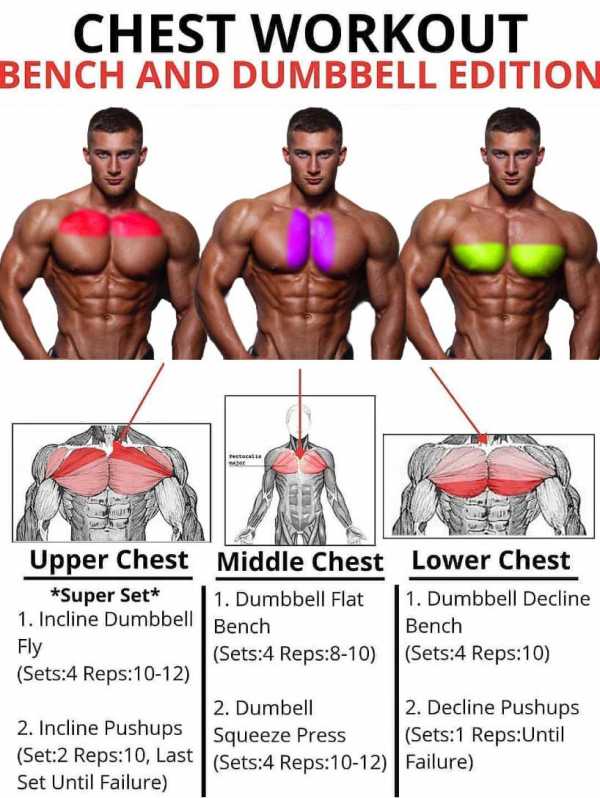 Как накачать верхнюю часть грудных мышц: основные упражнения для тренировок
