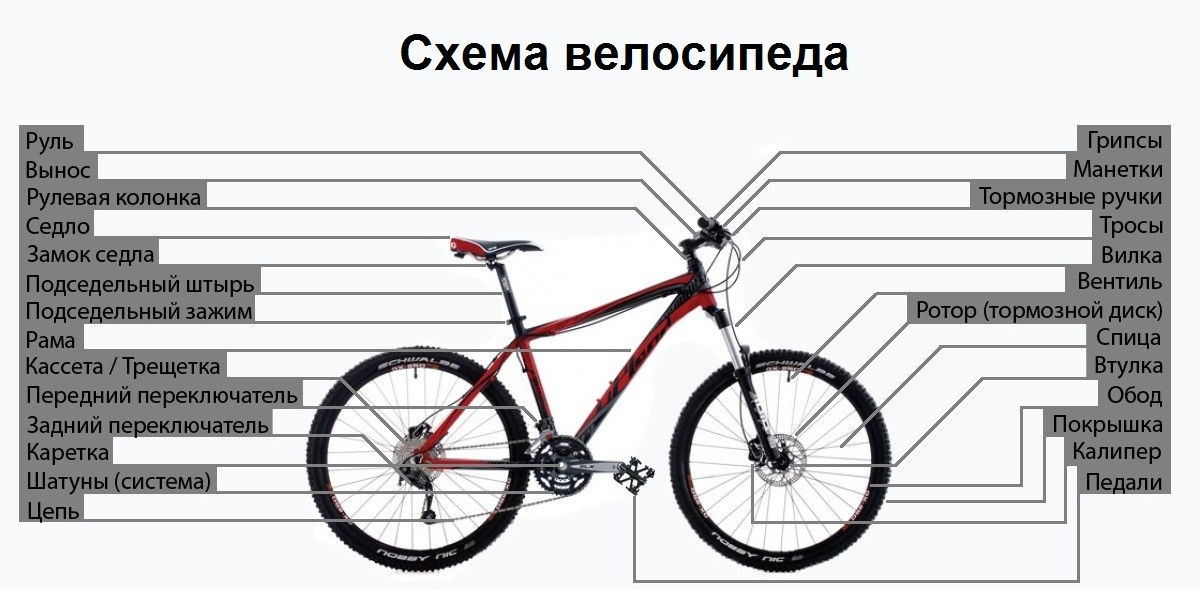 Как выбрать велосипед? виды, характеристики, марки и выбор велосипеда | спорт на "добро есть!"