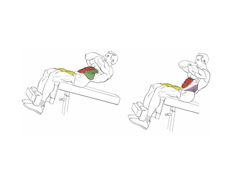 Эффективность скручиваний на наклонной скамье | rulebody.ru — правила тела