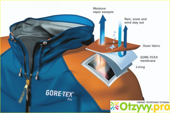 Gore-tex: описание, отличия ткани, изготовление одежды с мембраной гортекс