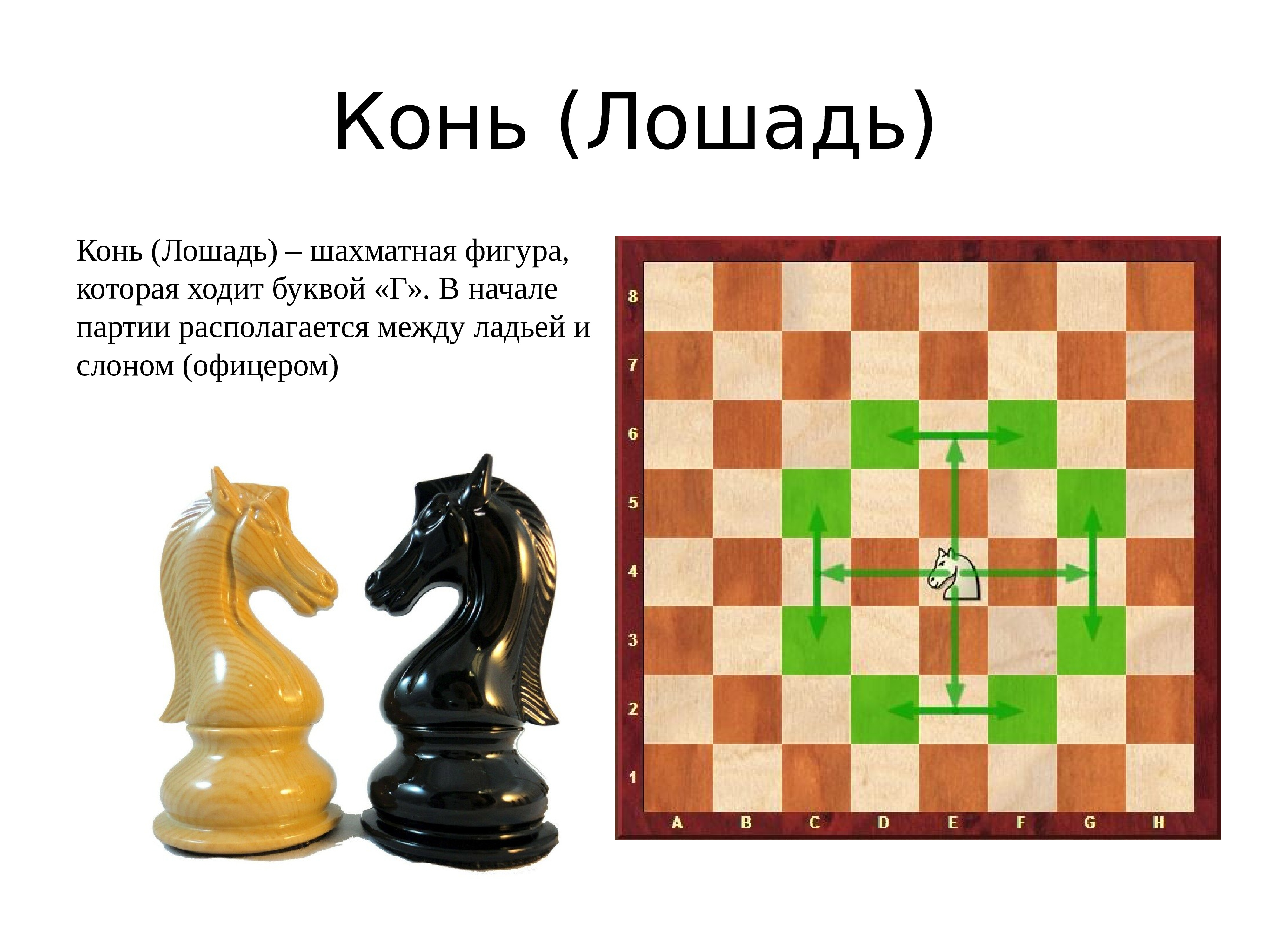 Шахматы и шахматные фигуры (названия, исполнение, история) / хабр
