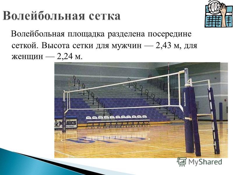 Размер волейбольной площадки по стандарту: схема поля, линии