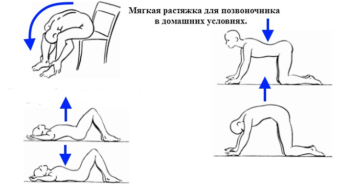 Зачем нужна растяжка для спины и позвоночника | блог valsport.ru