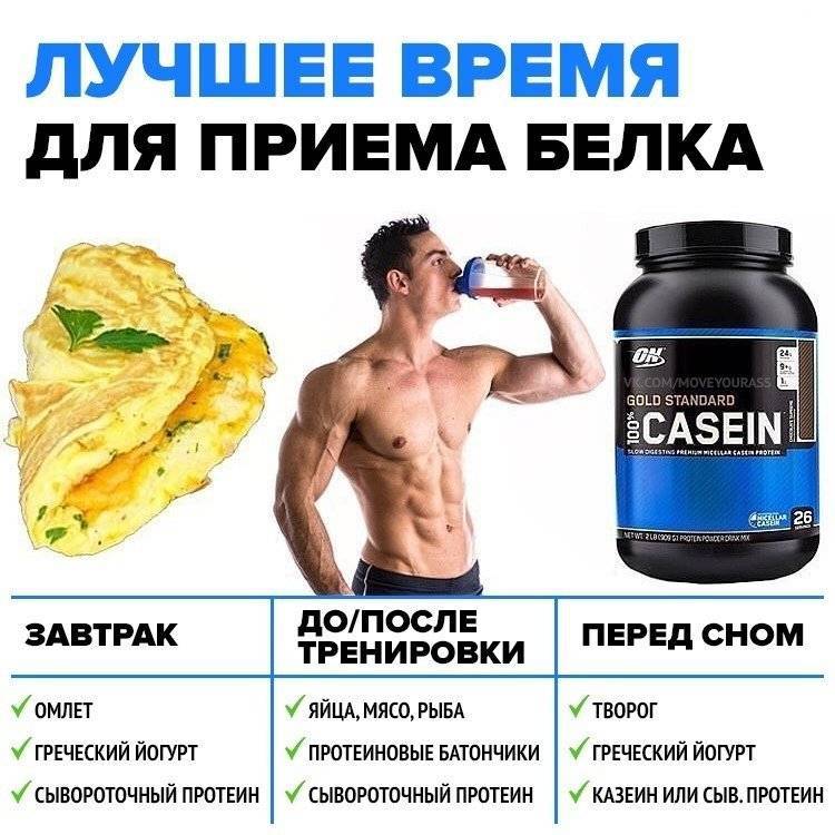Как подобрать спортивное питание: инструкции по выбору, советы начинающим - tony.ru