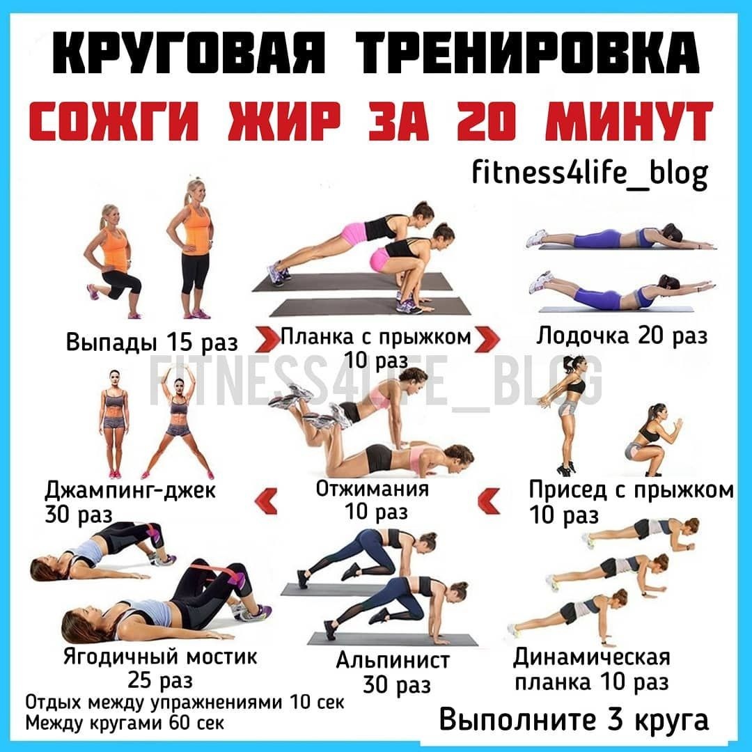 Программа тренировок для похудения для мужчин на неделю: комплекс упражнений в тренажерном зале для сжигания жира на 7 дней