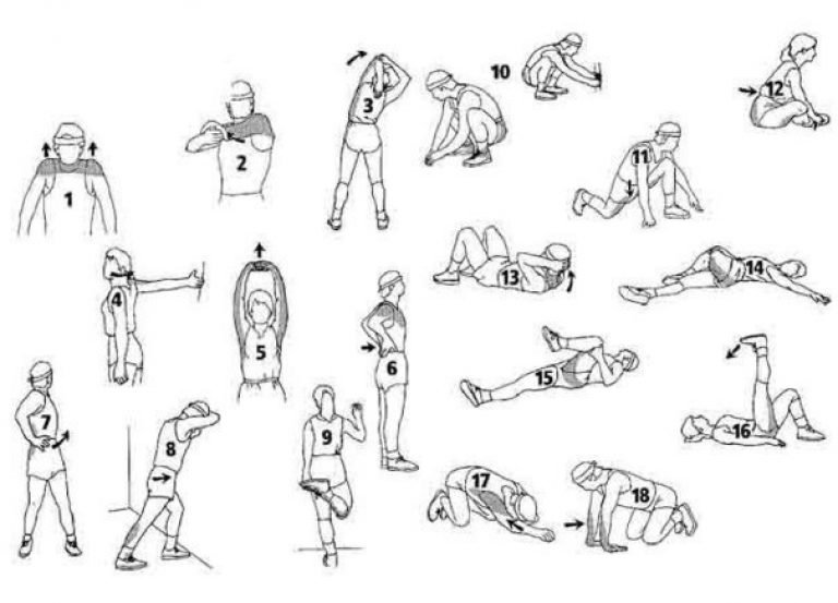 Динамическая растяжка: 10 эффективных тренировок по стретчингу онлайн бесплатно - все курсы онлайн