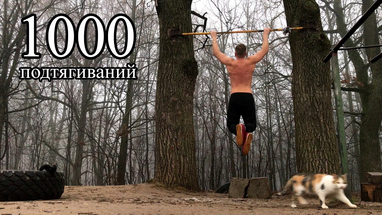 Правила выполнения упражнений для похудения на турнике | medisra.ru