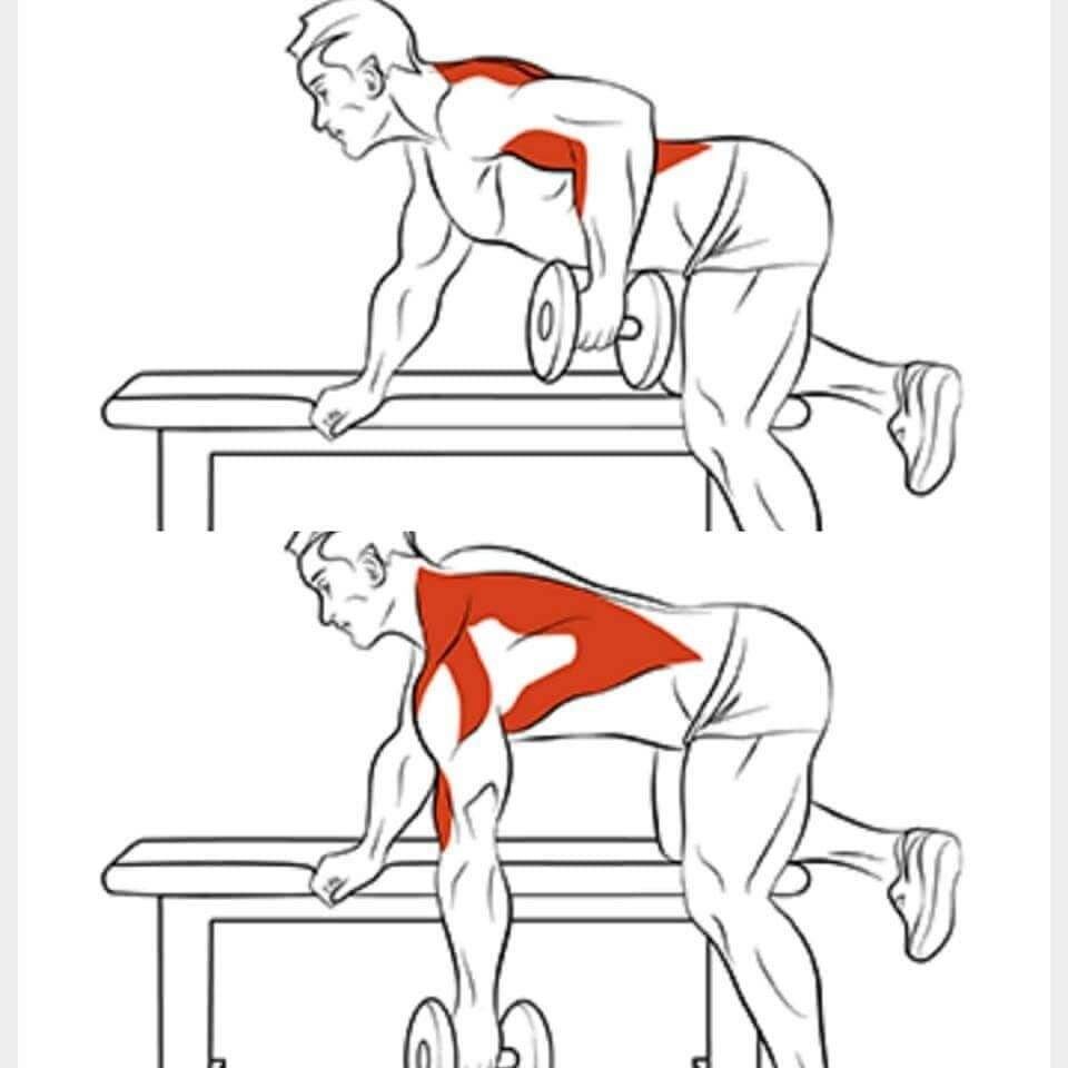 Как накачать мышцы спины в домашних условиях: упражнения