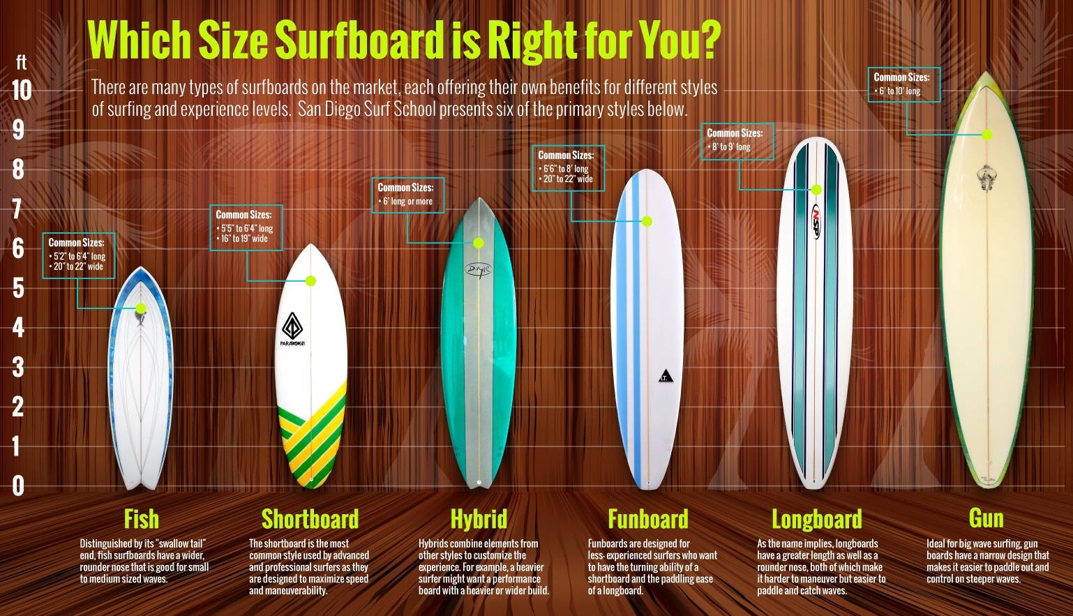 Как выбрать доску для сёрфинга : endless summer