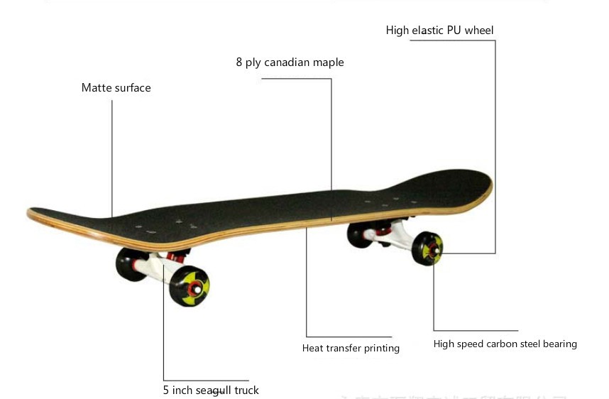 Виды скейтбордов: обзор моделей, отличия, характеристики, выбор :: syl.ru