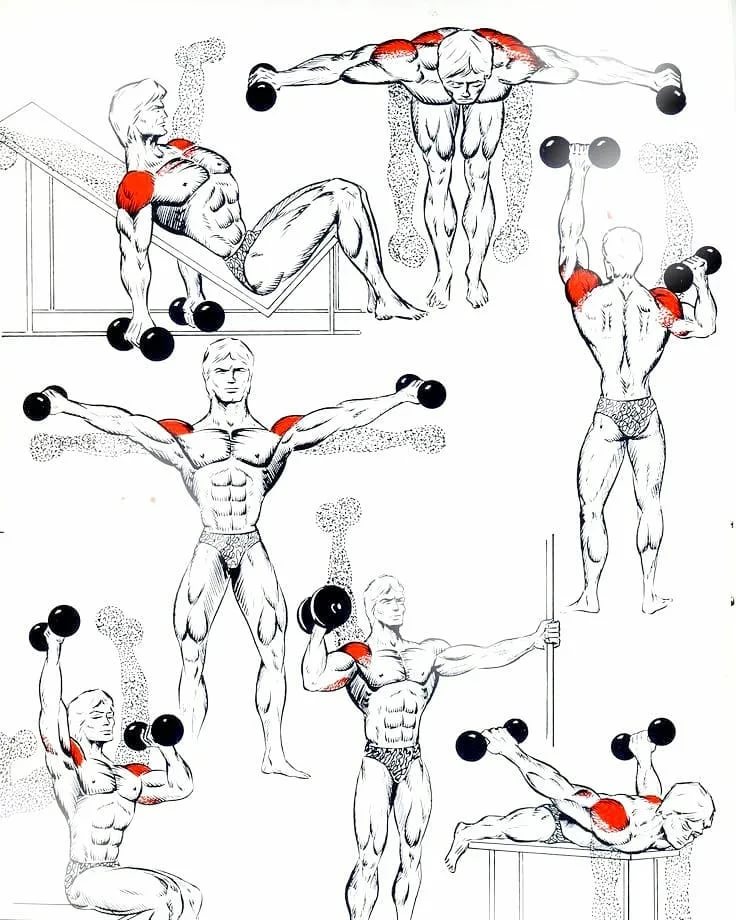Тренировка плеч