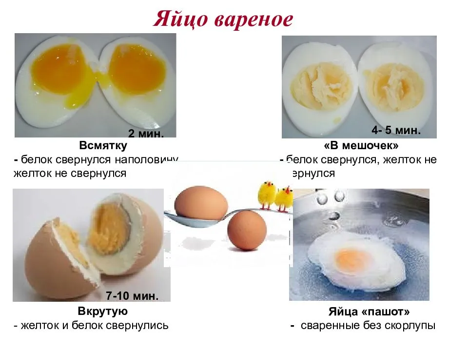 Сколько есть на завтрак? а мыть обязательно? раскрыты все секреты яиц — секрет фирмы