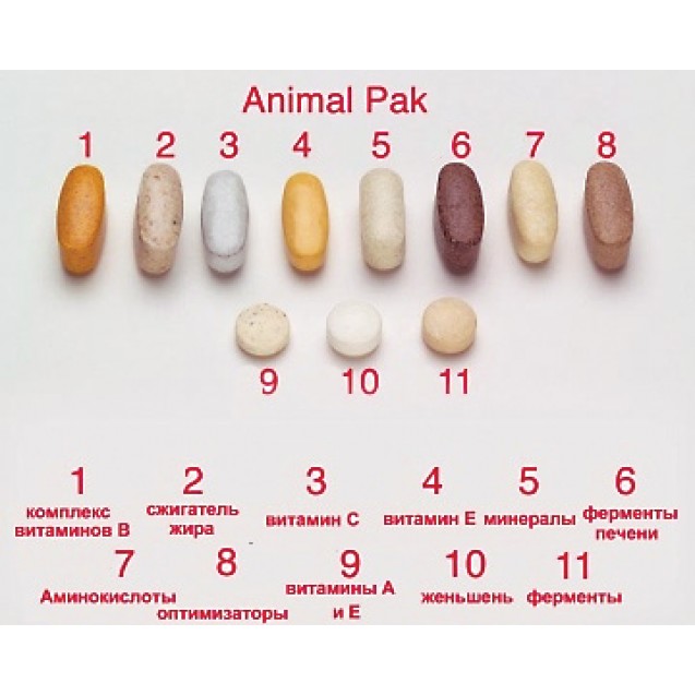 Animal pak- обзор витаминного комплекса, применение, реальные отзывы