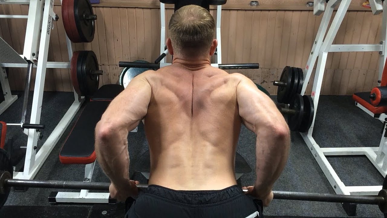 Упражнения для спины в тренажерном зале: как накачать спину