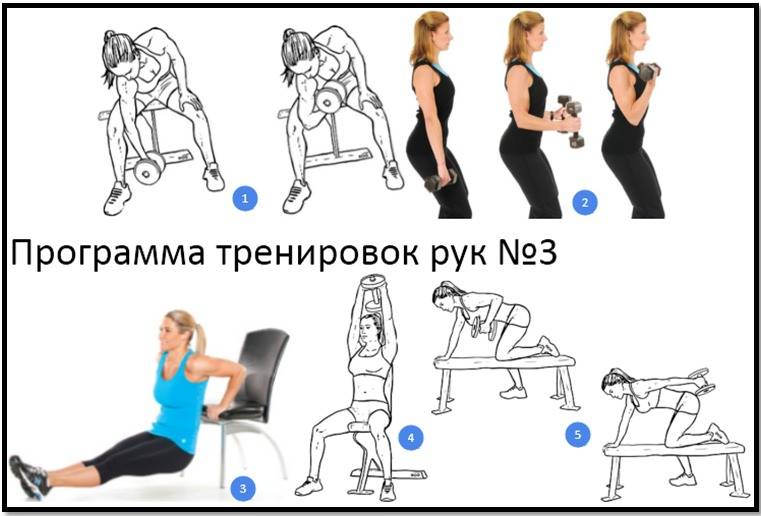 Упражнения для спины в тренажерном зале для девушек