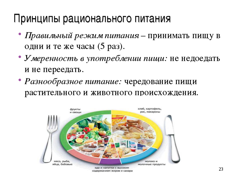 Определение порции еды - как рассчитывается норма порции взрослого человека