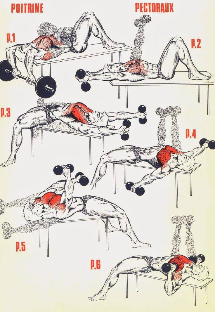 Как накачаться в домашних условиях: упражнения для тренировки мышц дома