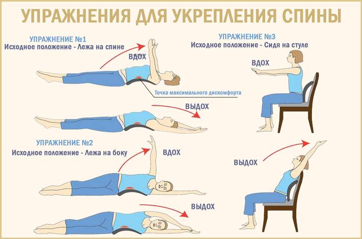 7 упражнений для укрепления мышц поясницы и сохранят здоровье спины - orto.salon