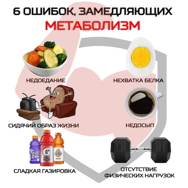 Метаболизм: что это такое простыми словами, и как ускорить обмен веществ