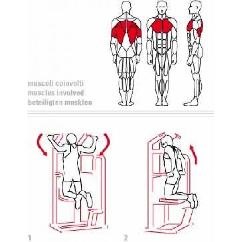 Отжимания от турника сверху – техника упражнения для груди и мышц плечевого пояса