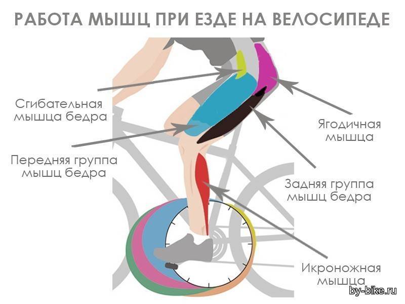Езда на велосипеде для здоровья, удовольствия и похудения