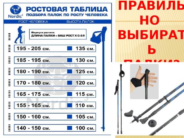 Палки для скандинавкой ходьбы - виды, какие лучше выбрать