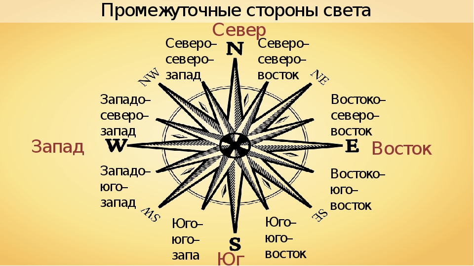 ✅ обозначения на компасе север юг запад восток - veloexpert33.ru