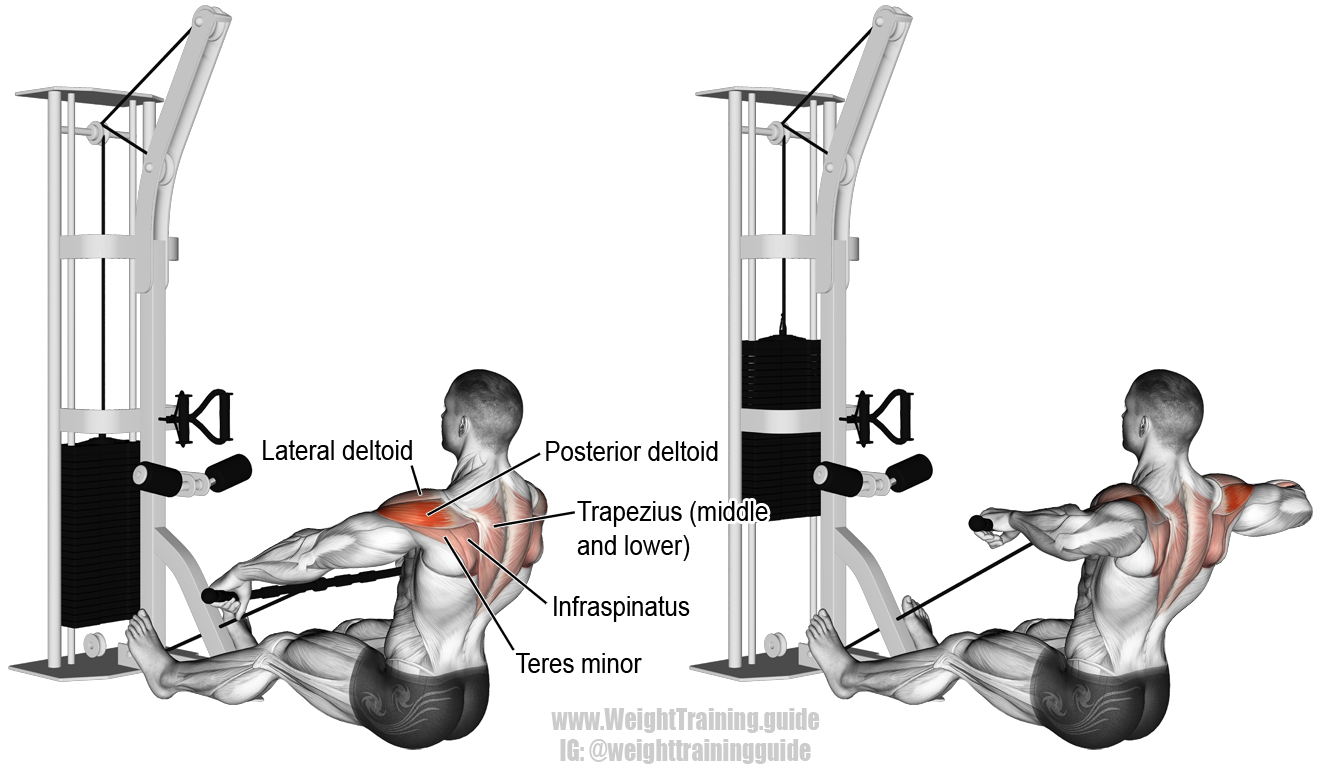 Горизонтальная тяга в блочном тренажере: техника выполнения упражнений на спину сидя
