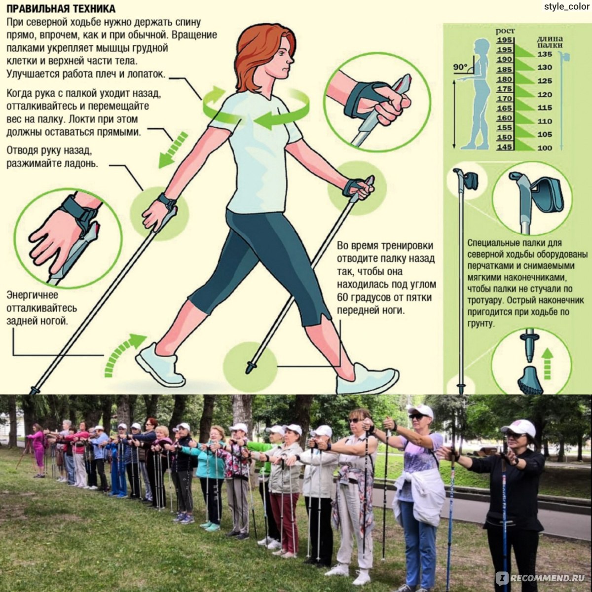 Скандинавская ходьба с палками для похудения: отзывы и рекомендации