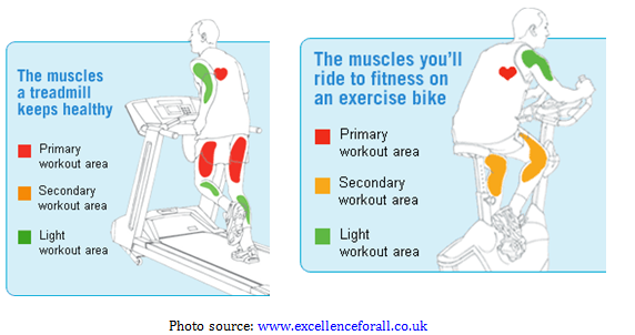 Какие мышцы качаются при езде на велосипеде