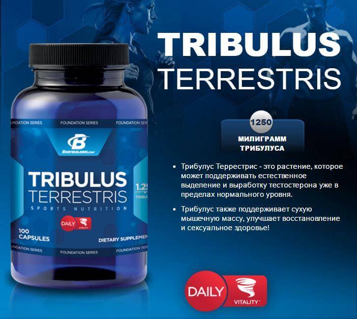 Трибулус террестрис (tribulus terrestris): как принимать, эффект для мужчинам, инструкция по применению