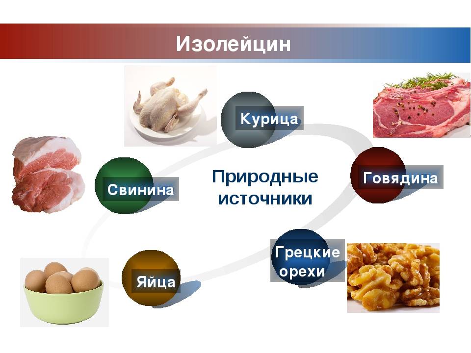 В каких продуктах содержится триптофан: список, таблица и особенности :: syl.ru