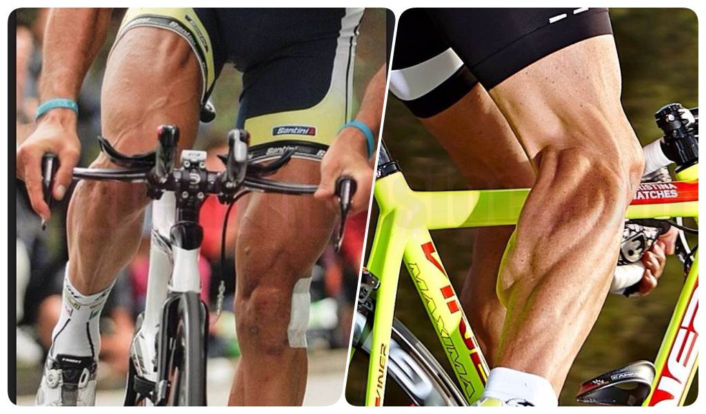 Какие мышцы тренирует велосипед: как не нанести вред своему организму