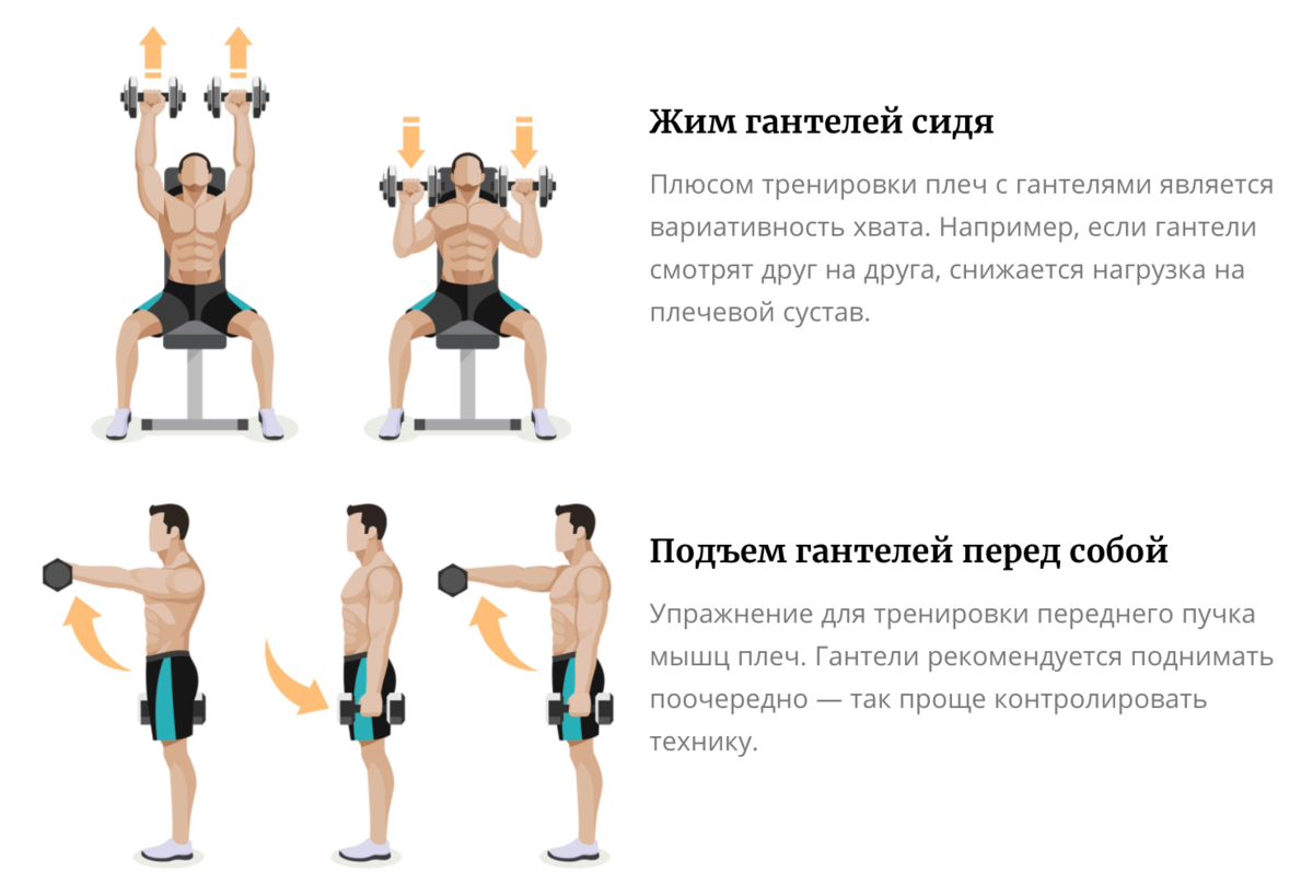 Базовые упражнения на спину: техника, особенности и варианты выполнения