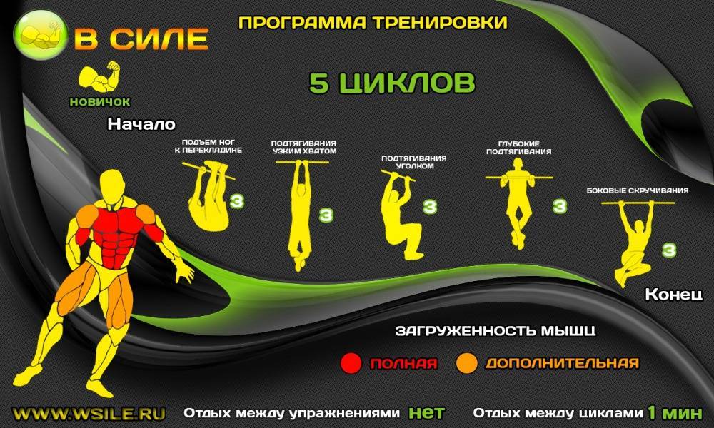 Программы тренировок воркаут для начинающих и опытных спортсменов | rulebody.ru — правила тела