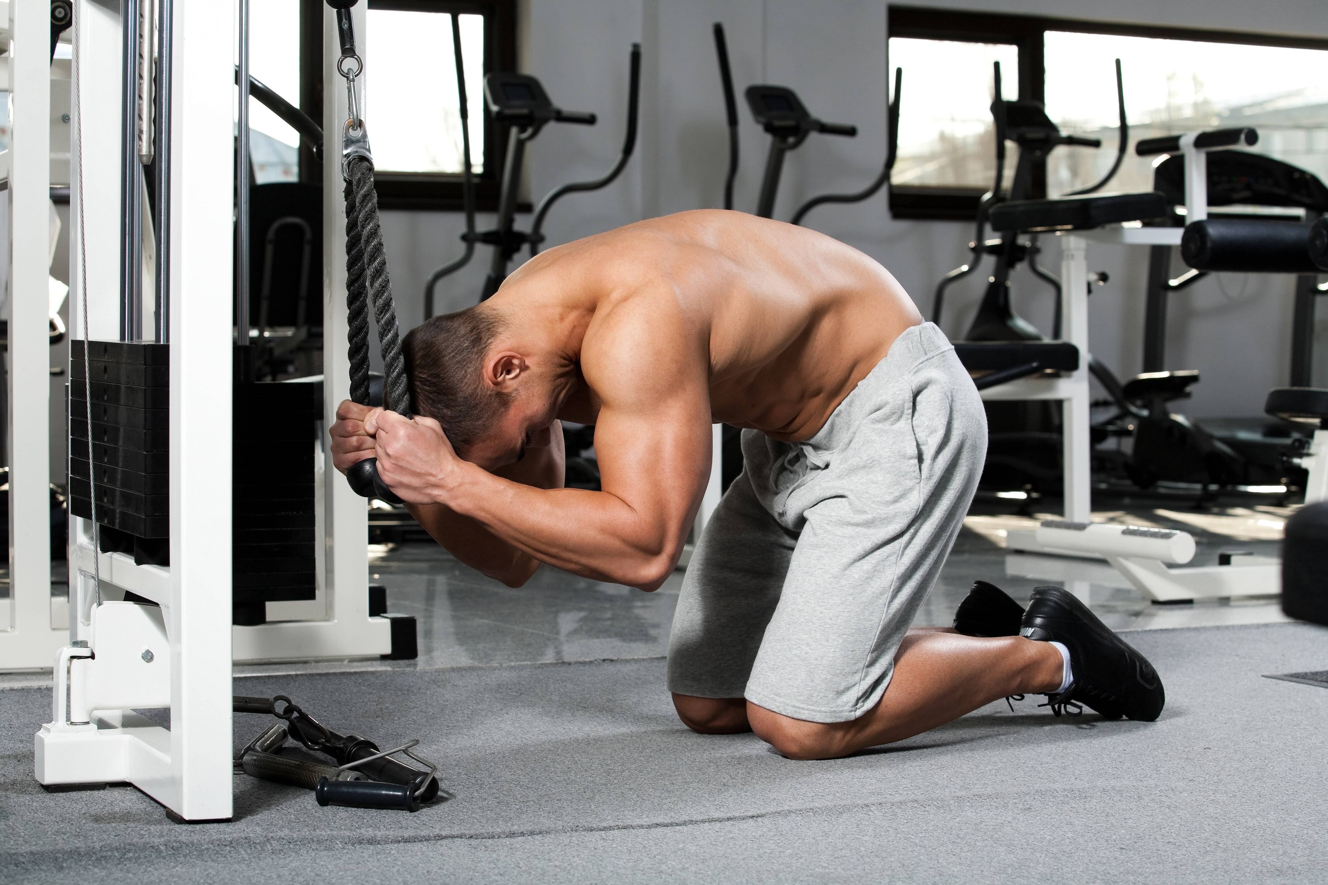 Тренажеры для спины — как укрепить и накачать мышцы спины в тренажерах
