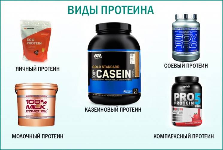 Казеиновый протеин: что это такое, как принимать казеин для похудения и роста мышц